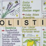 Holistic wellness